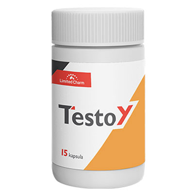 testoy